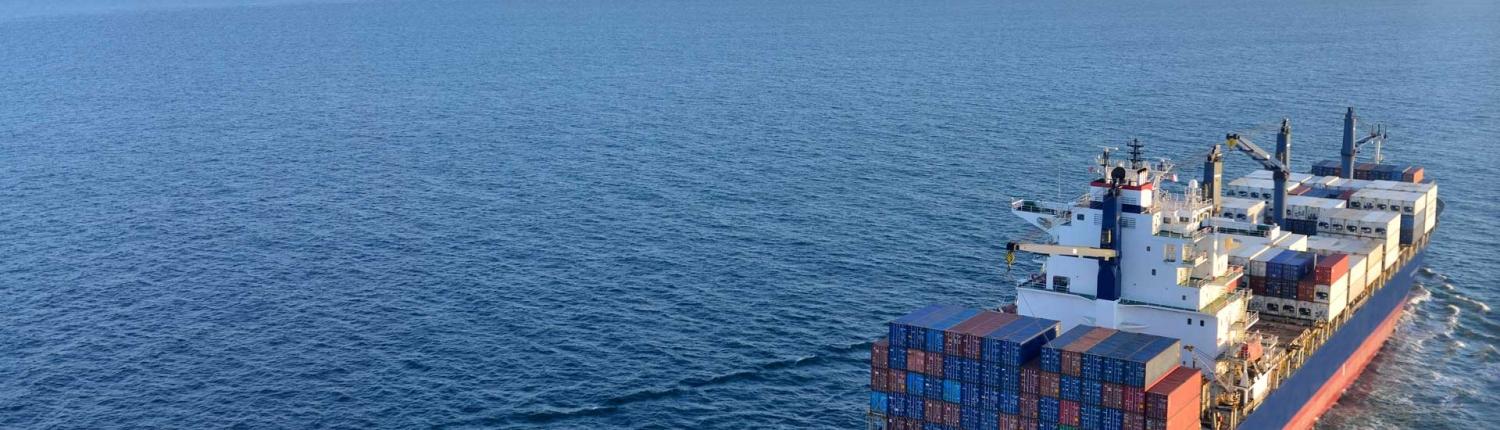 VVA veiligheidsadviseurs